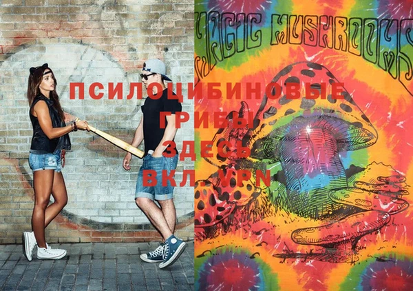 COCAINE Каменка