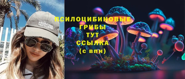 COCAINE Каменка