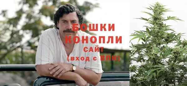 COCAINE Каменка