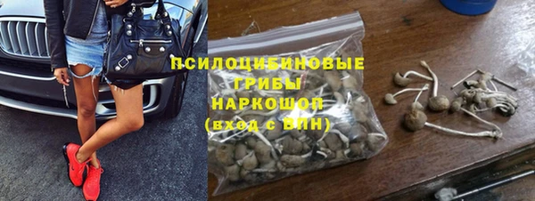 COCAINE Каменка