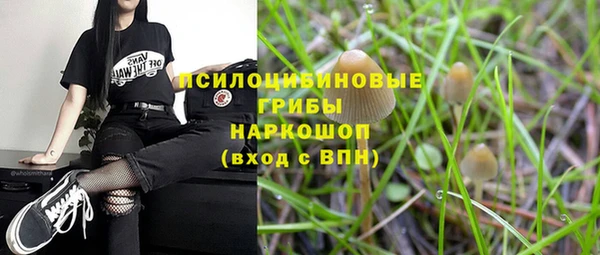 кокс Каменногорск