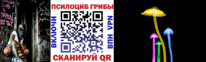 Купить где  Кстово  Галлюциногенные грибы Psilocybine cubensis 
